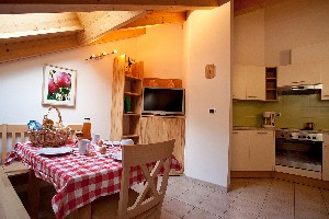 Hotel DOM APARTAMENTOWY GASSERHOF AICHA wakacje