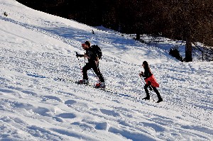Hotel NATUR & AKTIV HOTEL ROGEN wakacje