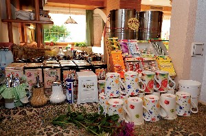 Hotel NATUR & AKTIV HOTEL ROGEN wakacje