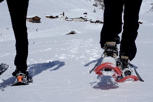 Hotel NATUR & AKTIV HOTEL ROGEN wakacje