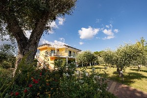 Hotel BAIA DI TRAINITI wakacje