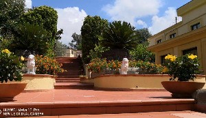 Hotel VILLA IGEA wakacje