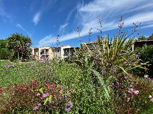 Hotel BELVEDERE VILLAGE wakacje