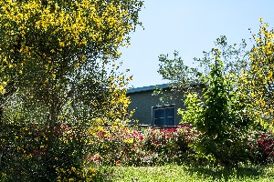 Hotel VILLAGGIO CAMPING BELLA ITALIA wakacje