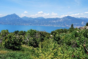 Hotel BELVEDERE wakacje