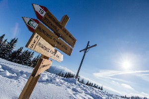 Hotel ENGELS PARK wakacje