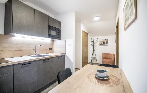 Hotel LAUBE35 CENTRAL CITY APARTMENTS wakacje