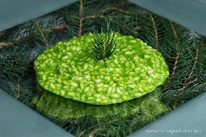 Hotel AROSEA LIFE BALANCE wakacje