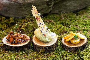 Hotel AROSEA LIFE BALANCE wakacje