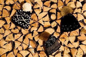 Hotel AROSEA LIFE BALANCE wakacje