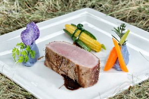 Hotel AROSEA LIFE BALANCE wakacje