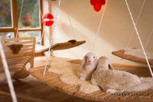 Hotel AROSEA LIFE BALANCE wakacje