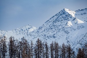 Hotel HOTEL VILLAGGIO OLIMPICO wakacje