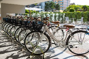 Hotel LIFE HOTEL BIBIONE wakacje