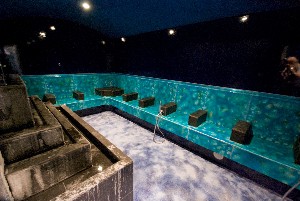 Hotel RESIDENZA DELLE TERME wakacje