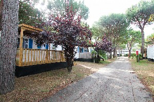 Hotel RESIDENCE CAMPING VILLAGE wakacje