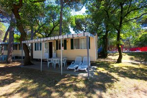 Hotel CAMPING VILLAGE BELVEDERE PINETA wakacje