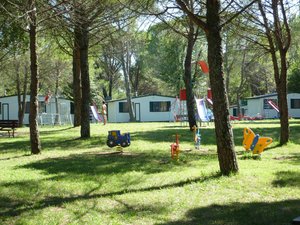 Hotel CAMPING VILLAGE BELVEDERE PINETA wakacje