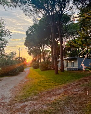 Hotel CAMPING VILLAGE BELVEDERE PINETA wakacje