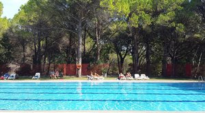 Hotel CAMPING VILLAGE BELVEDERE PINETA wakacje