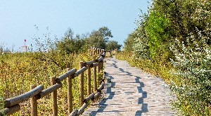 Hotel JESOLO MARE FAMILY CAMPING VILLAGE wakacje