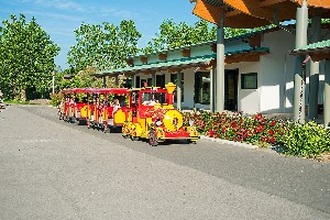 Hotel ROSAPINETA CAMPING VILLAGE HC wakacje