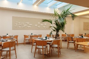 Hotel ALBATROS BEACH HOTEL wakacje