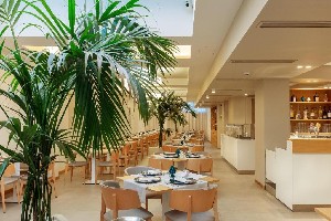 Hotel ALBATROS BEACH HOTEL wakacje