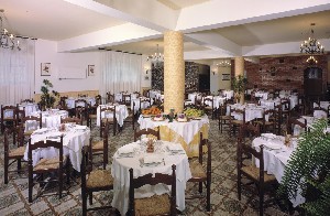 Hotel DELLE PALME wakacje