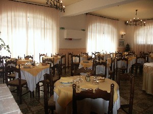 Hotel DELLE PALME wakacje