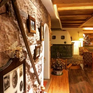 Hotel ALPINA wakacje