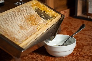 Hotel BETULLA wakacje