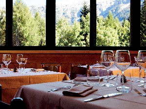 Hotel ALASKA wakacje