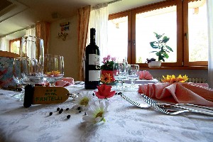 Hotel FANTELLI wakacje