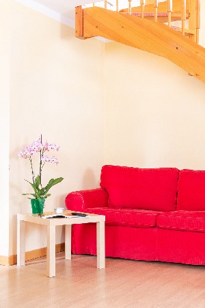 Hotel REZYDENCJA CLUB NEVESOLE RESORT wakacje