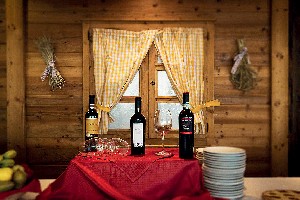 Hotel ALPINE MUGON wakacje