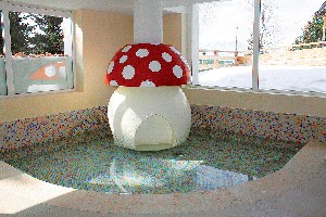 Hotel ALPINE MUGON wakacje