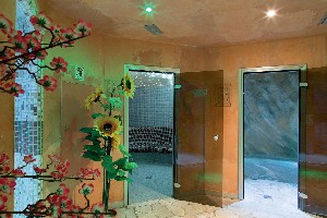 Hotel ALPINE MUGON wakacje