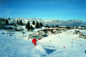 Hotel CLUB HOTEL ZODIACO wakacje