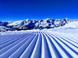 Hotel ALLE ROSE wakacje