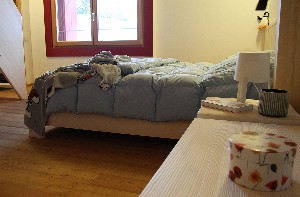 Hotel APARTAMENTY CASA SANTEL wakacje