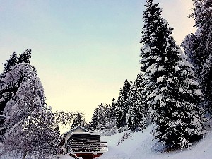 Hotel APARTAMENTY CASA SANTEL wakacje