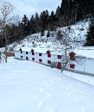 Hotel APARTAMENTY CASA SANTEL wakacje