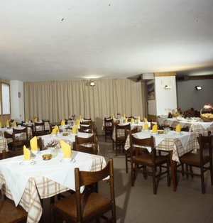 Hotel OLISAMIR wakacje