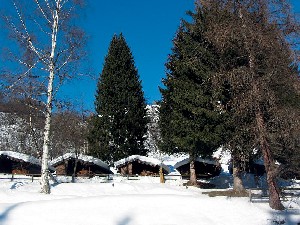 Hotel BUNGALOVY VAL DI SOLE wakacje