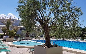 Hotel CORMORAN wakacje