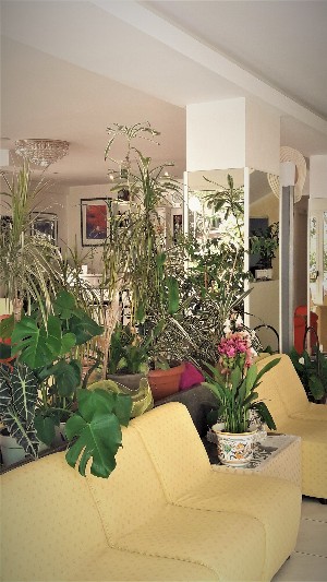 Hotel IMPERIALE wakacje