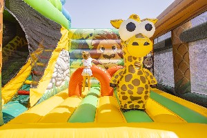 Recreational facility