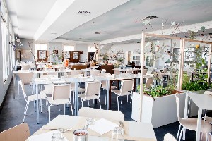 Hotel CORALLO wakacje