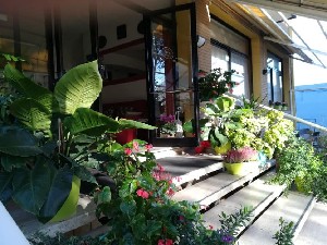 Hotel CROSAL wakacje